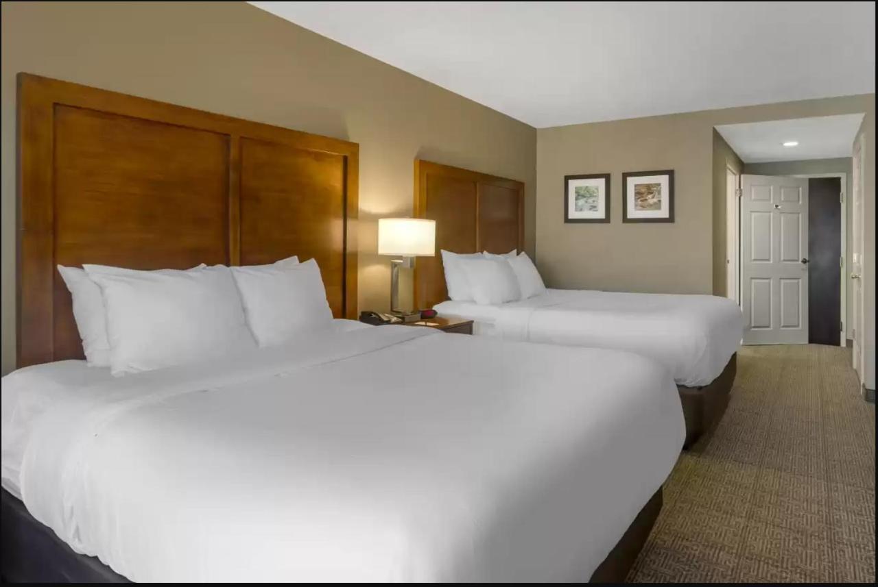 Comfort Inn & Suites Peachtree Corners Norcross Kültér fotó