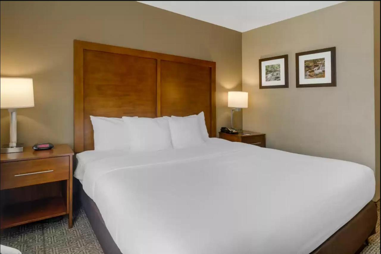 Comfort Inn & Suites Peachtree Corners Norcross Kültér fotó